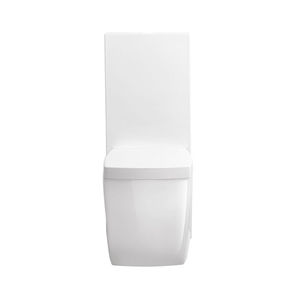 ceramic toilet tank