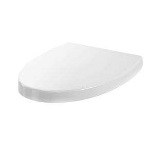 ceramic toilet seat