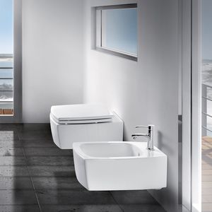 wall-hung toilet