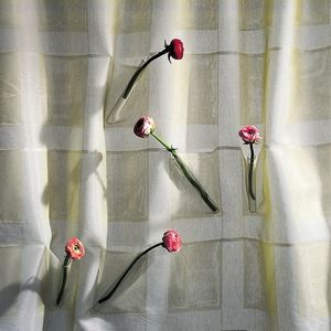 roller blind fabric