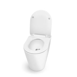 free-standing toilet