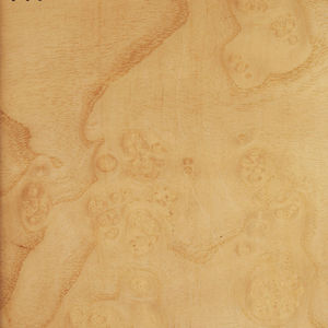 wooden veneer