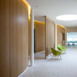 construction wood panel