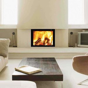 wood-burning fireplace insert 1