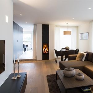 wood-burning fireplace 1