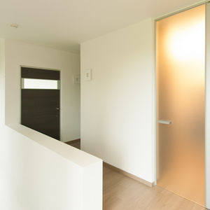 frosted glass door panel