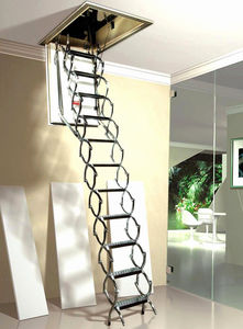 retractable ladder