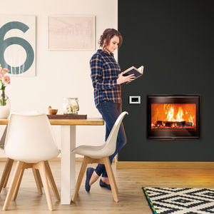 wood-burning fireplace insert