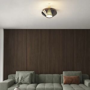 contemporary ceiling light 1