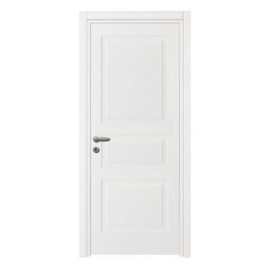 interior door 1