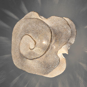 original design wall light