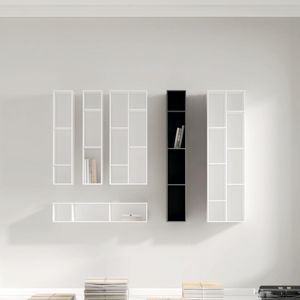 wall-mounted shelves