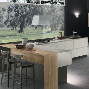contemporary kitchen