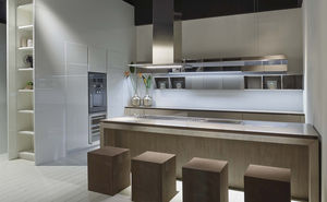 contemporary kitchen