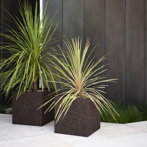 cork plant pot