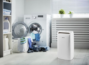 mobile dehumidifier