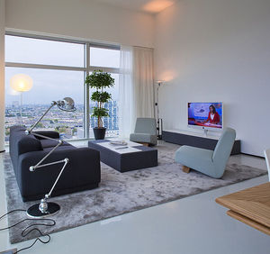 contemporary rug