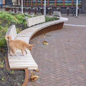 contemporary public bench