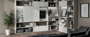 contemporary TV wall unit