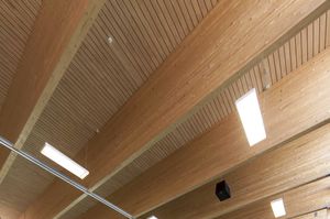 wood structural panel