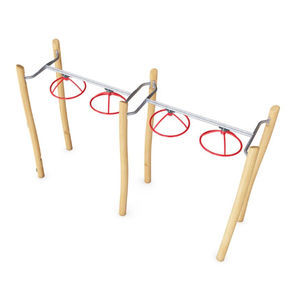 fitness trail ladder