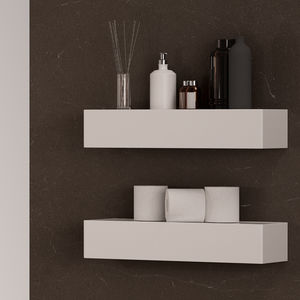 wall-mounted shelves