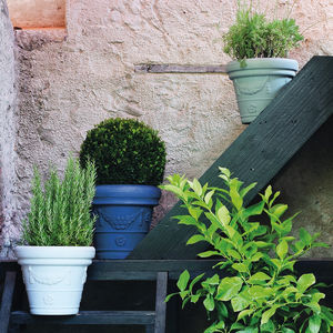 low-density polyethylene (LDPE) plant pot