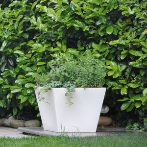 low-density polyethylene (LDPE) plant pot 1