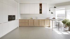 contemporary kitchen