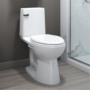 free-standing toilet