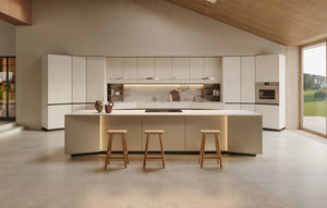 contemporary kitchen 1