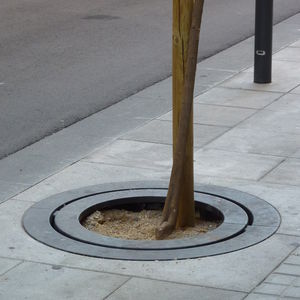 round tree grate