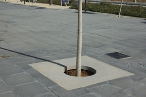 square tree grate