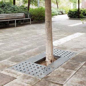 rectangular tree grate