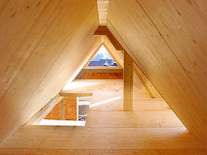 engineered construction panel 1