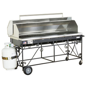 gas grill