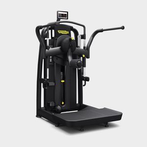 dips weight training machine