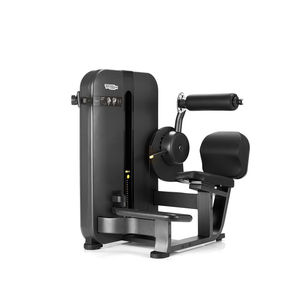 back extension weight training machine