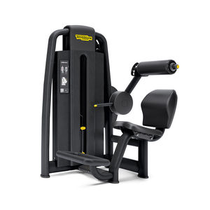 back extension weight training machine