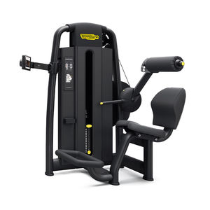 back extension weight training machine