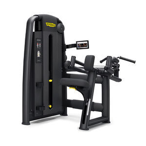 back extension weight training machine