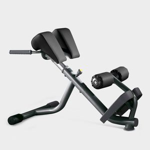 abdominal fitness apparatus