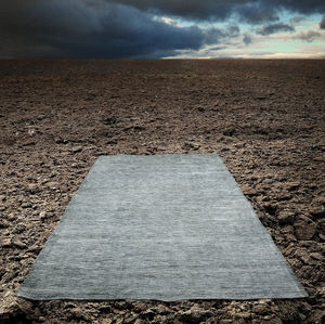 contemporary rug