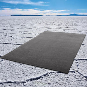 contemporary rug