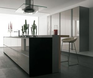 contemporary kitchen