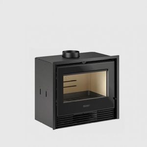 wood-burning fireplace insert