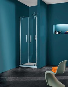 swing shower screen 1