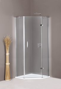 swing shower screen 1