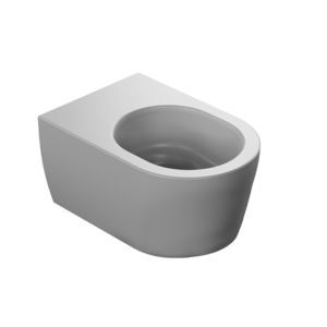 wall-hung toilet