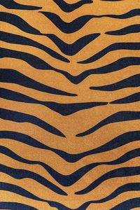 contemporary rug
